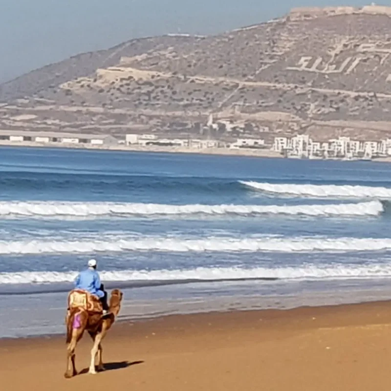Agadir-stranden 2560x1200 2048x960 En strand i Agadir