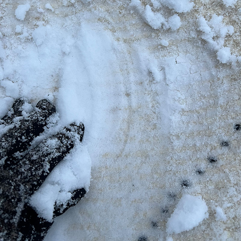 rens dine tæpper i sneen