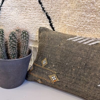 Cactus zijden kussens in langwerpige bruine tinten