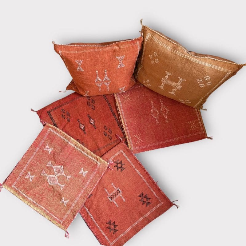 Photoroom_20260312_123020 terracotta kaktus puder