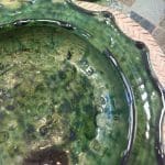 14 cm-groen-skaal-tamegroute_3