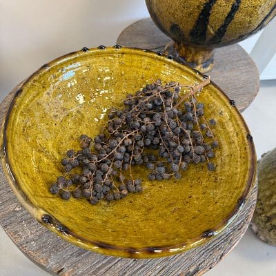 Tamegroute-skala-gult_ljus_LS5